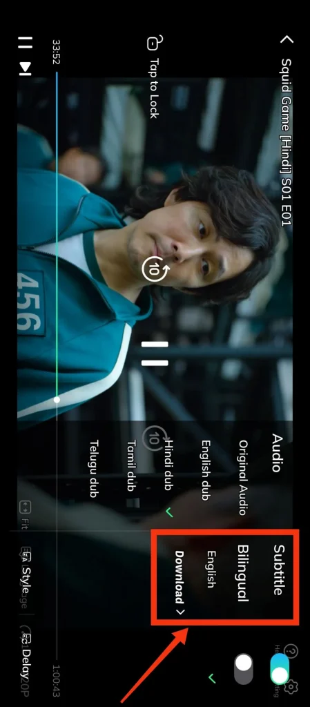 Built-In-Subtitles